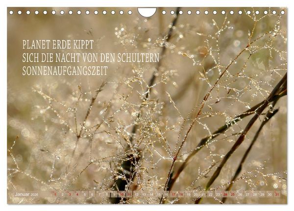 Produktbild: Haiku Poesie in Wort und Bild (Wandkalender 2026 DIN A4 quer), CALVENDO Monatskalender