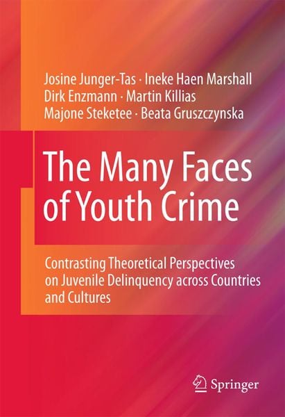 Produktbild: The Many Faces of Youth Crime