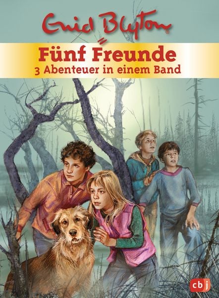 Produktbild: F&uuml;nf Freunde - 3 Abenteuer in einem Band