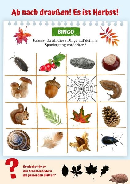 Produktbild: Naturforscher-Kids &ndash; Abenteuer-Spazierg&auml;nge