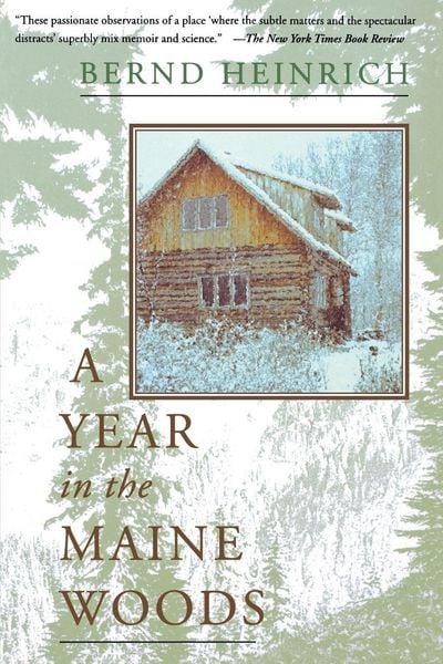 Produktbild: A Year in the Maine Woods