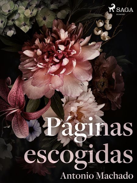 Produktbild: P&aacute;ginas escogidas