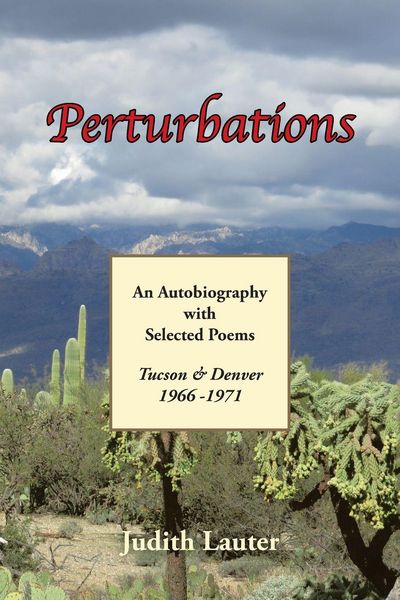 Produktbild: Perturbations