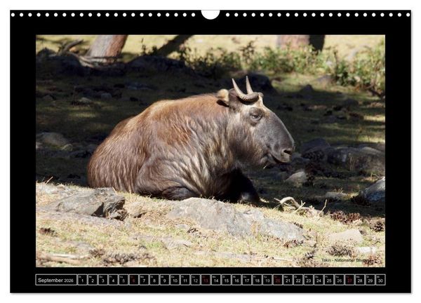 Produktbild: Bhutan Druk Yul 2026 (Wandkalender 2026 DIN A3 quer), CALVENDO Monatskalender