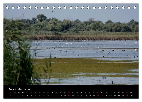 Produktbild: Donaudelta (Tischkalender 2026 DIN A5 quer), CALVENDO Monatskalender
