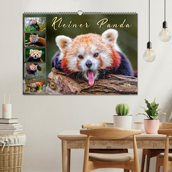 Produktbild: Kleiner Panda (Wandkalender 2026 DIN A2 quer), CALVENDO Monatskalender