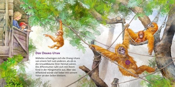 Produktbild: Im Zoo / Hör mal Band 6