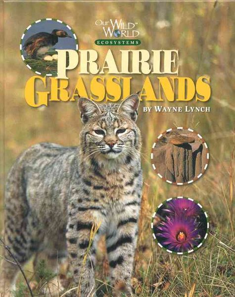 Produktbild: Prairie Grasslands