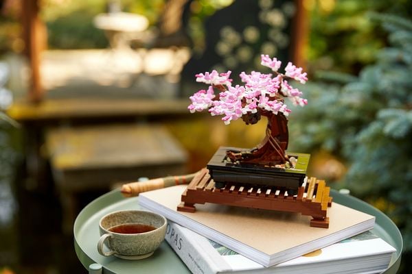 LEGO Botanicals Bonsai Baum - Kunstpflanzen Set für Erwachsene 10281