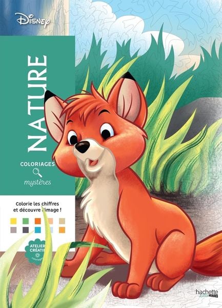 Produktbild: Nature : coloriages myst&egrave;res Disney