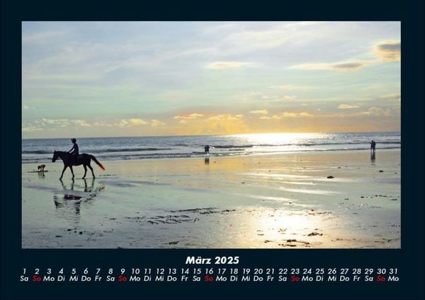 Produktbild: Die Welt der Pferde 2025 Fotokalender DIN A4