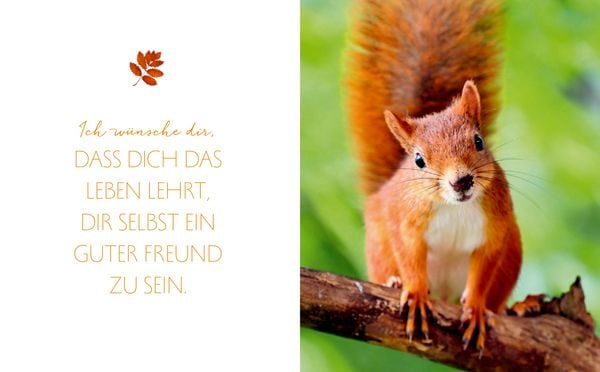 Produktbild: Das Gl&uuml;ck aller Kleebl&auml;tter sei mit dir