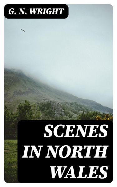 Produktbild: Scenes in North Wales