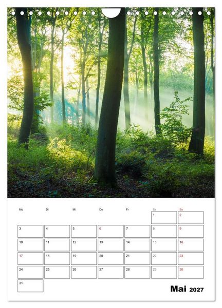 Produktbild: Traumhaftes Deutschland - Idyllische Ansichten (Wandkalender 2027 DIN A4 hoch), CALVENDO Monatskalender