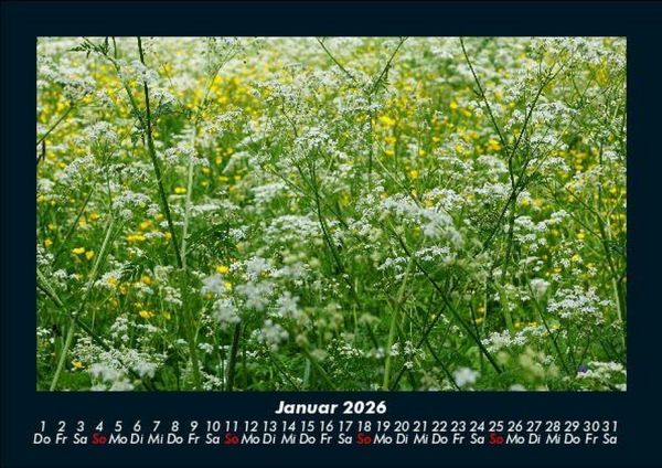 Produktbild: Blumentr&auml;ume 2026 Fotokalender DIN A5