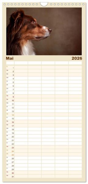 Produktbild: Familienplaner 2026 - Charmante Australian Shepherds mit 5 Spalten (Wandkalender, 21 x 45 cm) CALVENDO