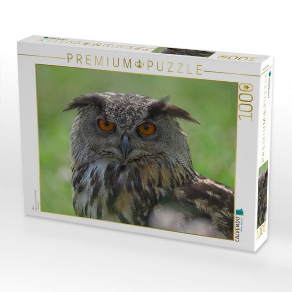 Produktbild: CALVENDO Puzzle Uhu | 1000 Teile Lege-Gr&ouml;&szlig;e 64x48cm Foto-Puzzle f&uuml;r gl&uuml;ckliche Stunden