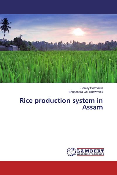 Produktbild: Rice production system in Assam