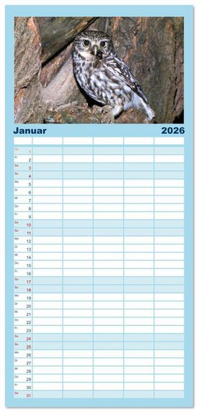 Produktbild: Familienplaner 2026 - Das Leben der Eulen, die Damen der Nacht mit 5 Spalten (Wandkalender, 21 x 45 cm) CALVENDO
