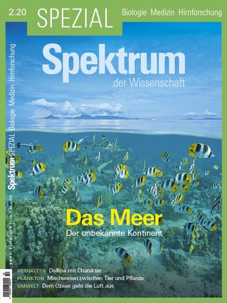 Produktbild: Spektrum Spezial - Das Meer