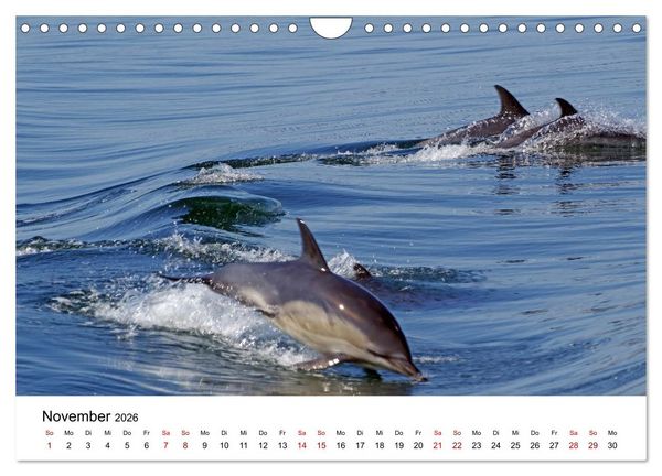 Produktbild: Von Cornwall nach Schottland (Wandkalender 2026 DIN A4 quer), CALVENDO Monatskalender