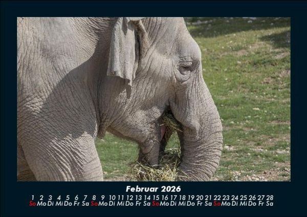 Produktbild: Der Elefantenkalender 2026 Fotokalender DIN A5
