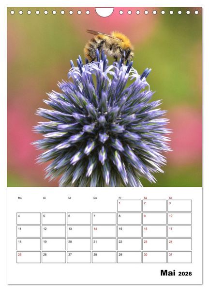 Produktbild: Hummeln und Bienen Terminplaner (Wandkalender 2026 DIN A4 hoch), CALVENDO Monatskalender