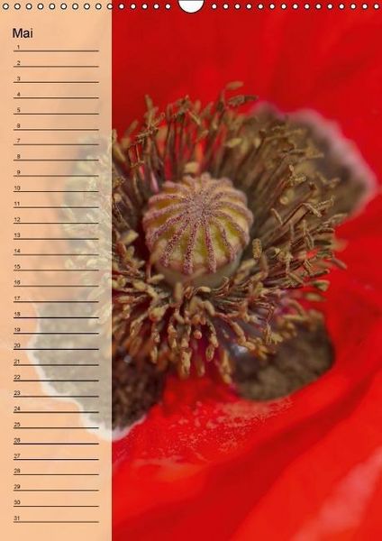 Produktbild: Immerw&auml;hrender Geburtstagskalender - Bl&uuml;tentr&auml;ume (Wandkalender immerw&auml;hrend DIN A3 hoch)