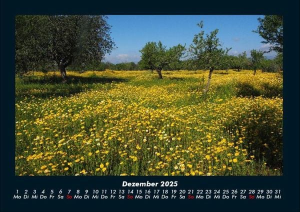 Produktbild: Blumenkalender 2025 Fotokalender DIN A4