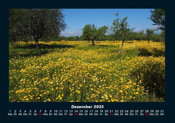 Produktbild: Blumenkalender 2025 Fotokalender DIN A4