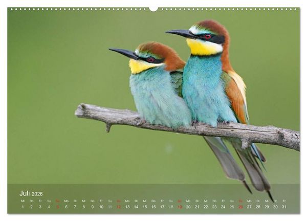 Produktbild: Europ&auml;ische Bienenfresser (Wandkalender 2026 DIN A2 quer), CALVENDO Monatskalender