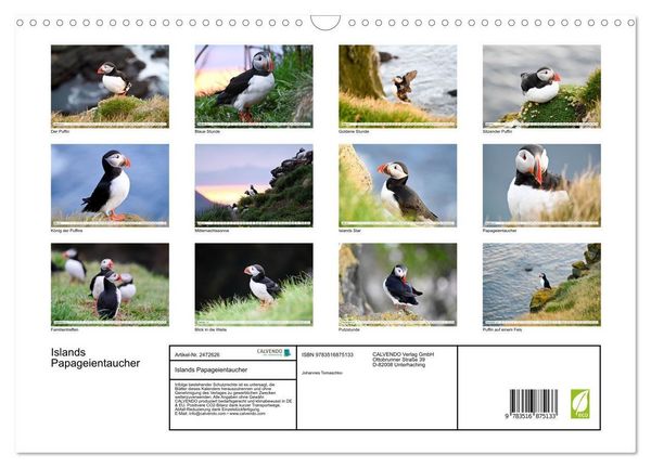 Produktbild: Islands Papageientaucher (Wandkalender 2027 DIN A3 quer), CALVENDO Monatskalender