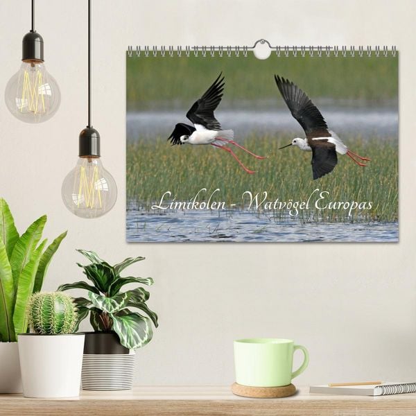 Produktbild: Limikolen - Watv&ouml;gel Europas (Wandkalender 2026 DIN A4 quer), CALVENDO Monatskalender