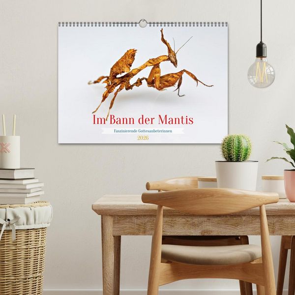 Produktbild: Im Bann der Mantis (Wandkalender 2026 DIN A3 quer), CALVENDO Monatskalender