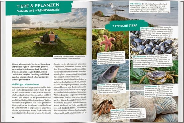 Produktbild: MARCO POLO OUTDOOR GUIDE Reisef&uuml;hrer Ostseek&uuml;ste Schleswig-Holstein