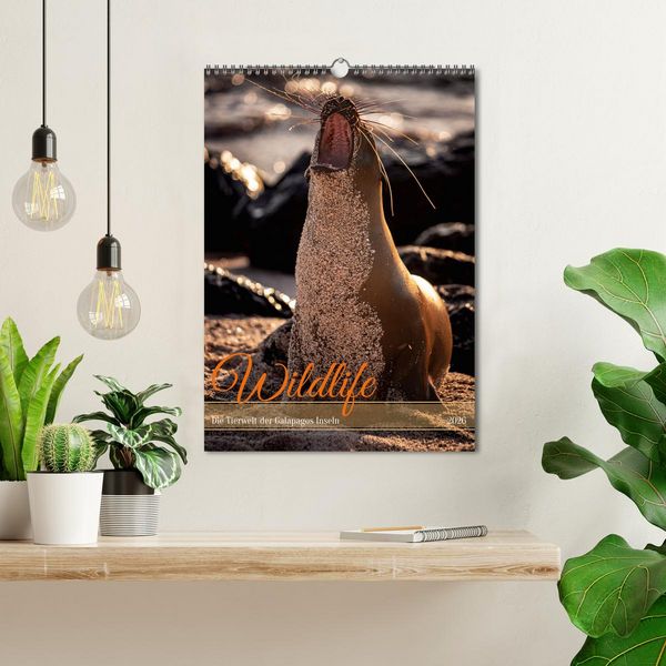 Produktbild: Wildlife - Die Tierwelt der Galapagos Inseln (Wandkalender 2026 DIN A3 hoch), CALVENDO Monatskalender