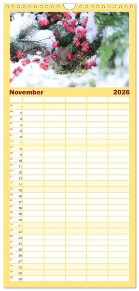 Produktbild: Familienplaner 2026 - Die R&ouml;telmaus - neugierig und verfressen mit 5 Spalten (Wandkalender, 21 x 45 cm) CALVENDO