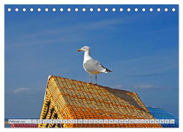 Produktbild: Langeoog - Natur Pur (Tischkalender 2026 DIN A5 quer), CALVENDO Monatskalender
