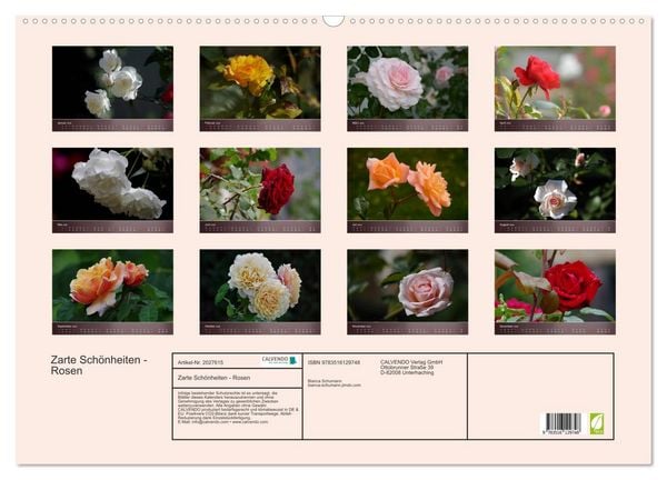 Produktbild: Zarte Sch&ouml;nheiten - Rosen (Wandkalender 2026 DIN A2 quer), CALVENDO Monatskalender