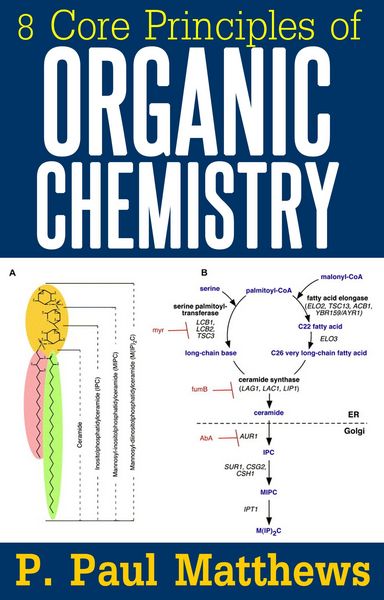Produktbild: 8 Core Principles of Organic Chemistry