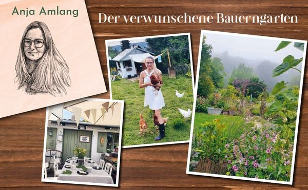 Produktbild: Mein grünes Paradies – Drei Frauen und ihre Gärten