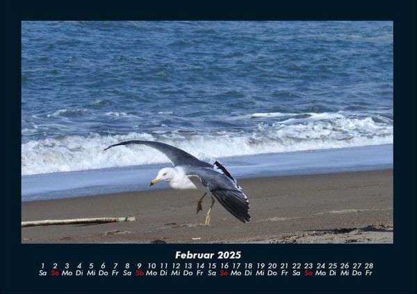 Produktbild: Meereslandschaft 2025 Fotokalender DIN A4