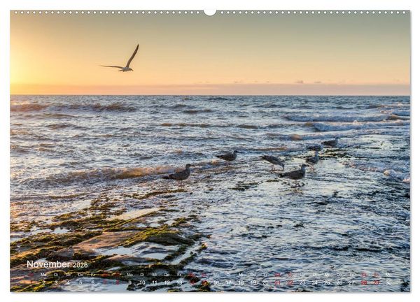 Produktbild: Flandern - Stadt und Strand (Wandkalender 2026 DIN A2 quer), CALVENDO Monatskalender