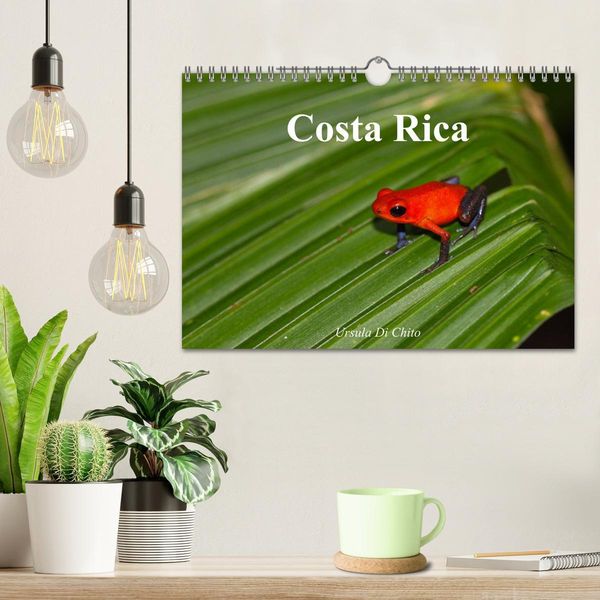 Produktbild: Costa Rica (Wandkalender 2026 DIN A4 quer), CALVENDO Monatskalender