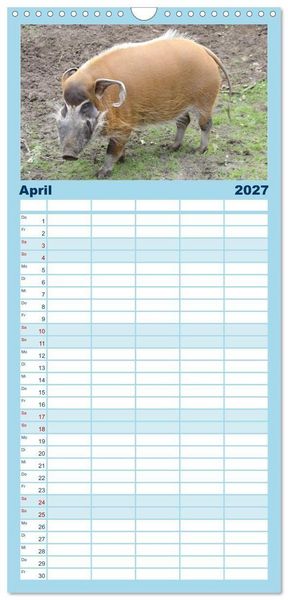Produktbild: Familienplaner 2027 - Tierische Schweinerei mit 5 Spalten (Wandkalender, 21 x 45 cm) CALVENDO