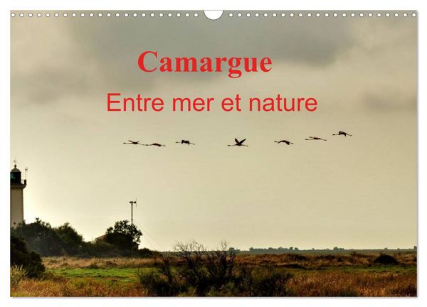 Produktbild: Camargue Entre mer et nature (Calendrier mural 2026 DIN A3 vertical), CALVENDO calendrier mensuel