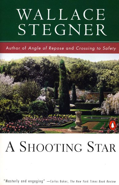 Produktbild: A Shooting Star