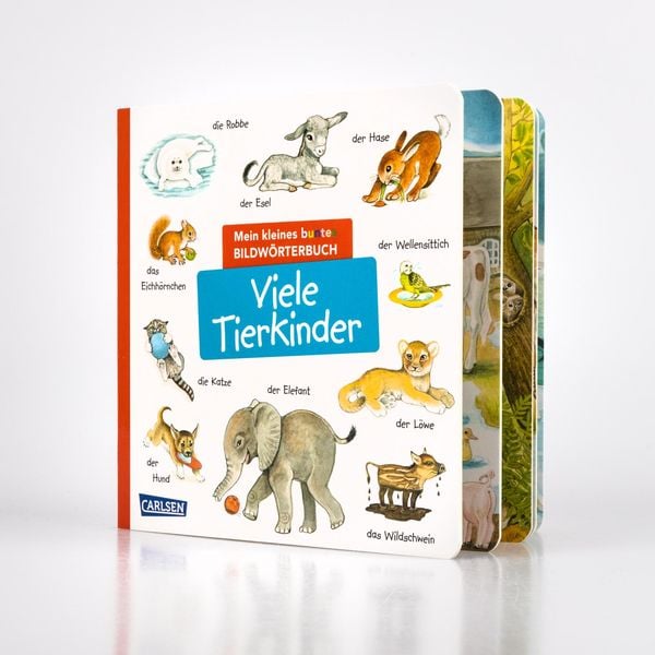 Produktbild: Mein kleines buntes Bildw&ouml;rterbuch: Viele Tierkinder