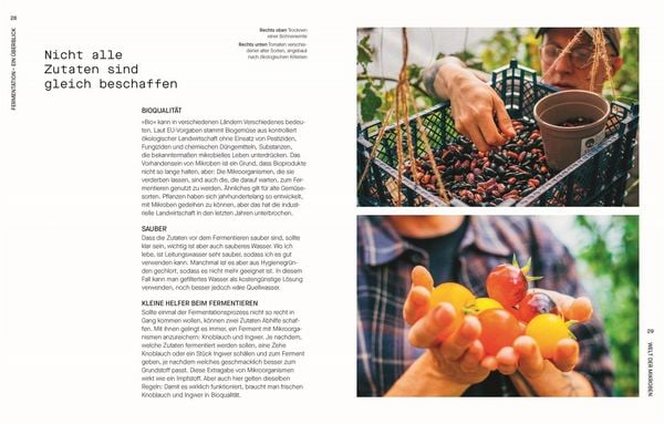 Produktbild: Fermentieren. Rezepte und Techniken f&uuml;r Geschmack, den man nicht kaufen kann