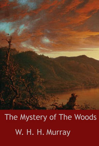 Produktbild: The Mystery of The Woods